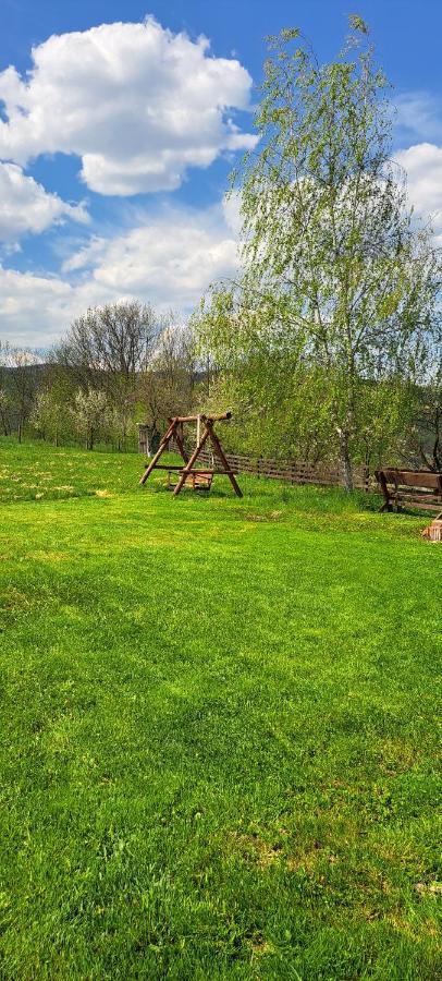 Pensiunea Turistica Retreat Belvedere Vadu Crisului Buitenkant foto