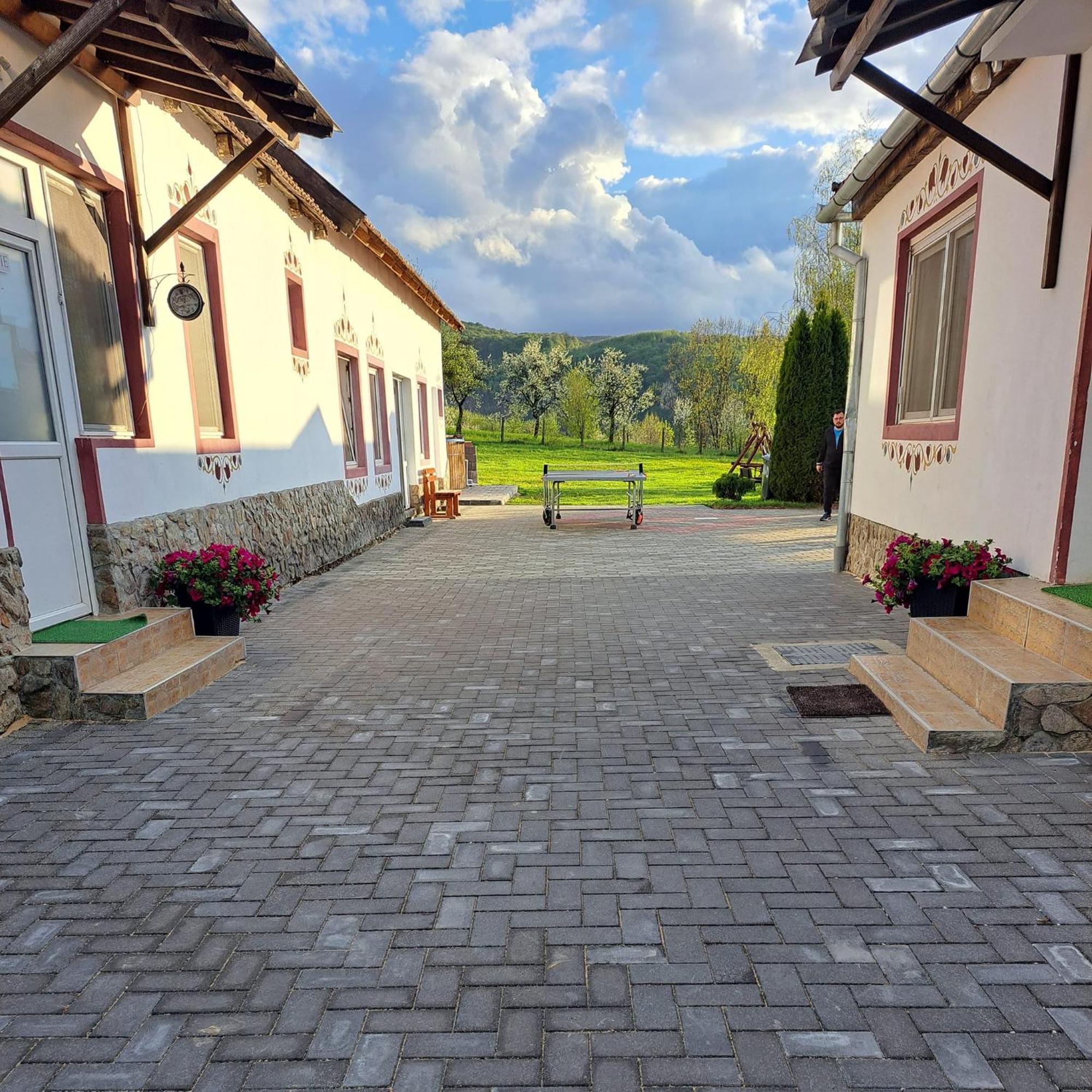 Pensiunea Turistica Retreat Belvedere Vadu Crisului Buitenkant foto